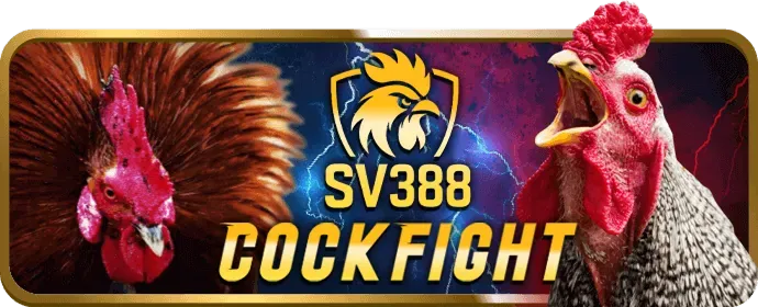 Đội ngũ abcvip casino